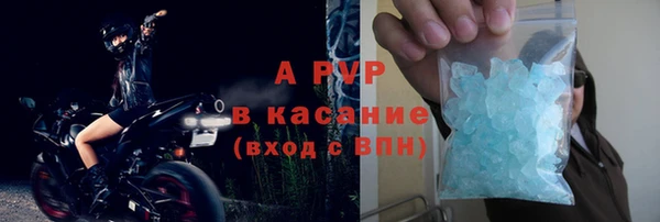 хмурый Абаза