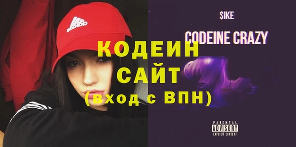 хмурый Абаза