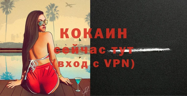 хмурый Абаза