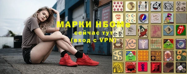 хмурый Абаза