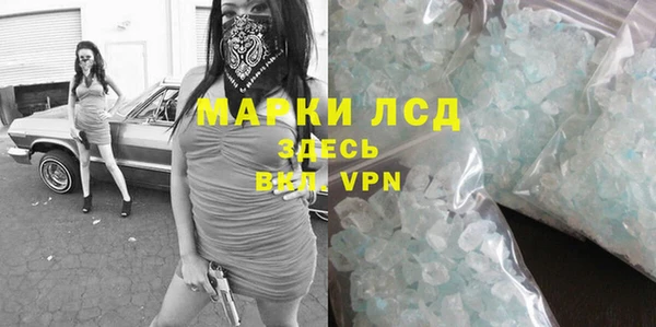 хмурый Абаза