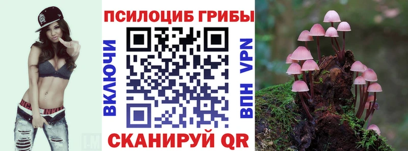 как найти   blacksprut сайт  Псилоцибиновые грибы Magic Shrooms  Камышлов 
