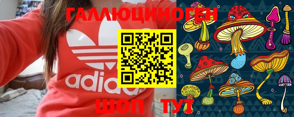 Псилоцибиновые грибы Psilocybe Камышлов