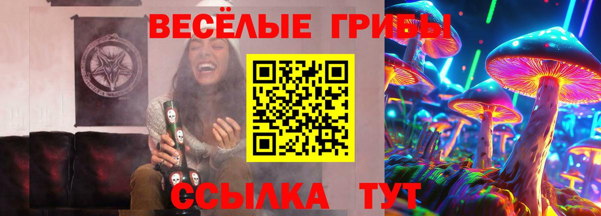 купить закладку  Псилоцибиновые грибы Magic Shrooms  Вход с VPN  Камышлов 
