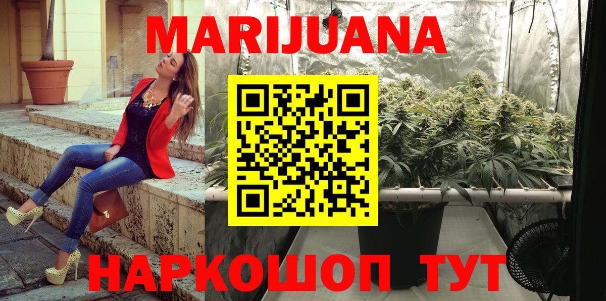 Конопля тримм  Вход с VPN  Бошки марихуана OG Kush  Камышлов  Бошки марихуана White Widow  Шишки марихуана Ganja 